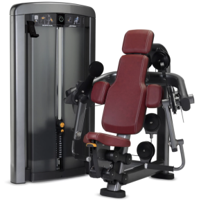 Life Fitness Insignia Bicep Curl