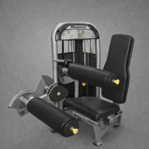 Magnum E Series leg Curl