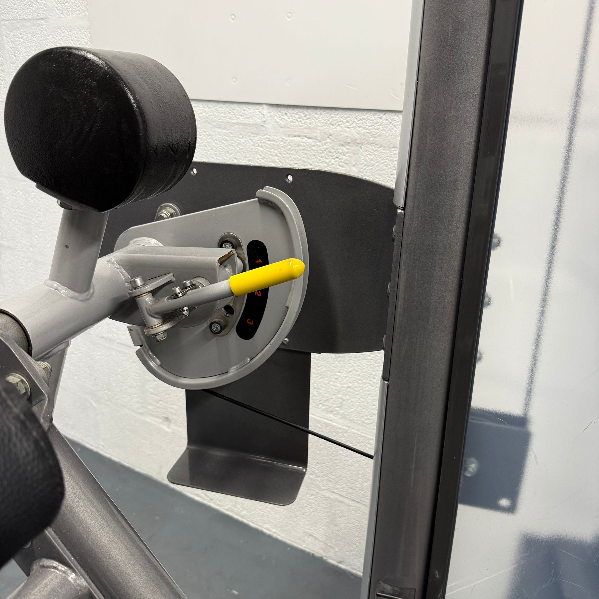 Impulse Fitness Bicep Curl - Image 3