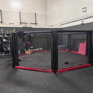 Professional MMA Octagon